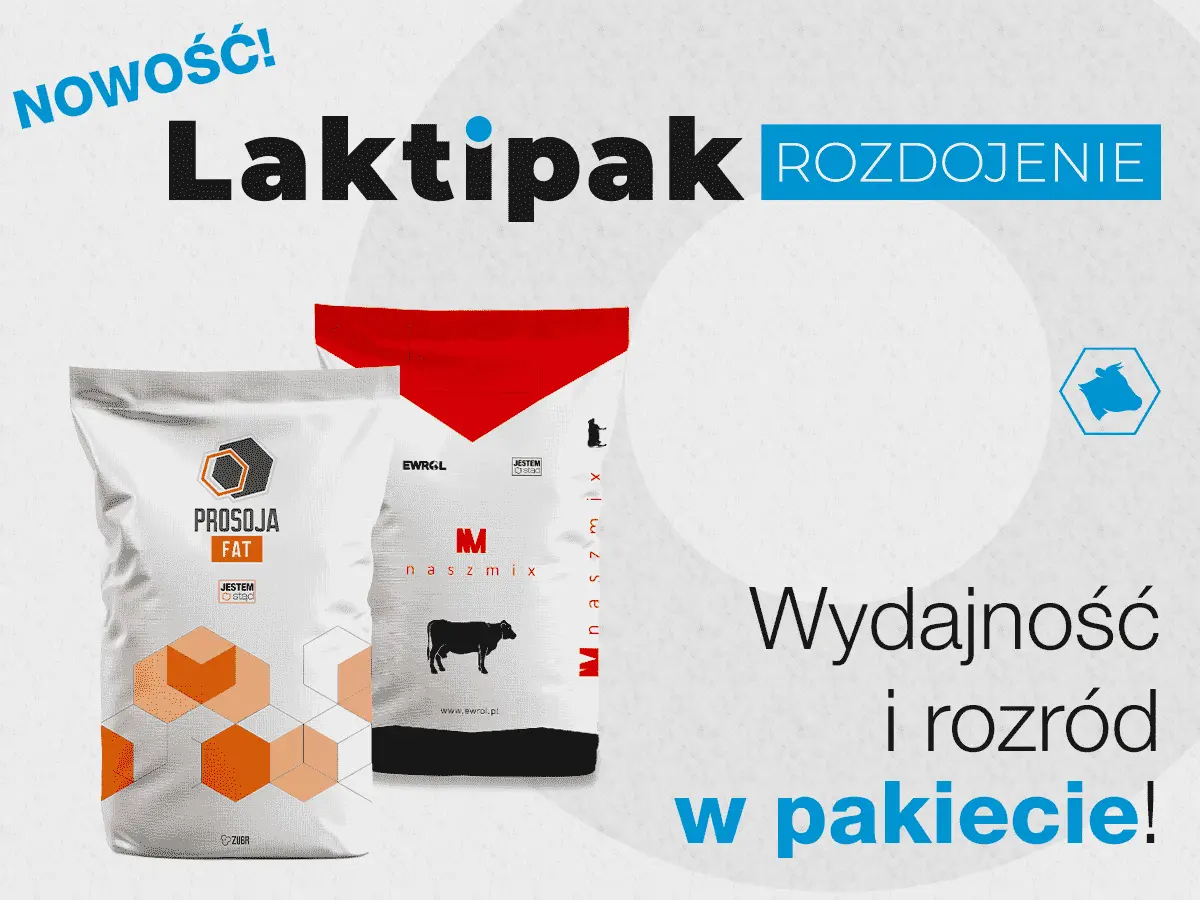 Efekt synergii: optymalne wsparcie w szczycie laktacyjnym 